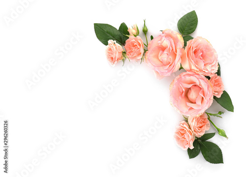 Beautiful rose flowers on white background © Pixel-Shot