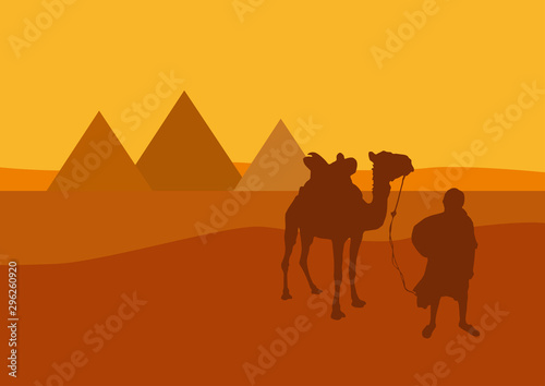Camel and camel-driver in front of the pyramids in Egypt at sunset. Vector illustration