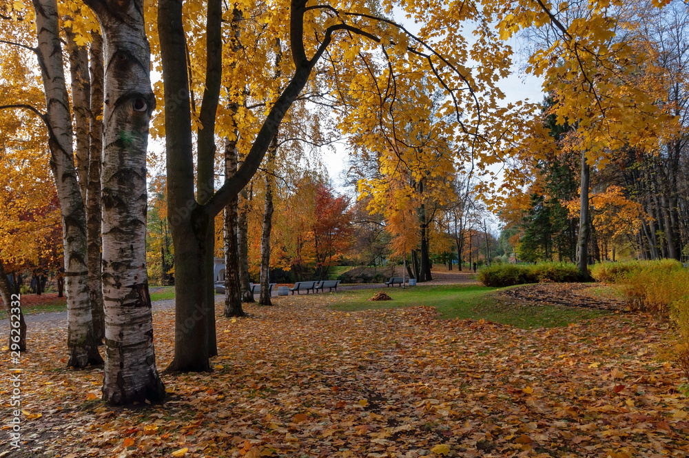 City park with beautiful colorful trees and relaxation areas on a sunny autumn day
