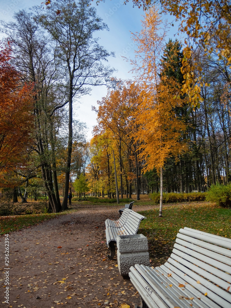 City park with beautiful colorful trees and relaxation areas on a sunny autumn day