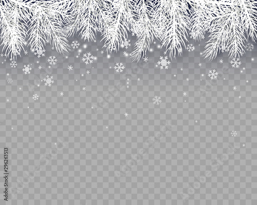 Border with fir branches and snowflakes isolated on transparent background. Pine, xmas evergreen plants banner. Vector snowy Christmas tree decoration element.