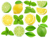 Large collection of citrus fruits - lime and lemon isolated on a white background in full depth of field with clipping path.
