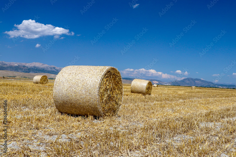 Straw bale in the field