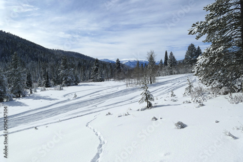 Snowmobiling track in wilderness, Idaho, United States