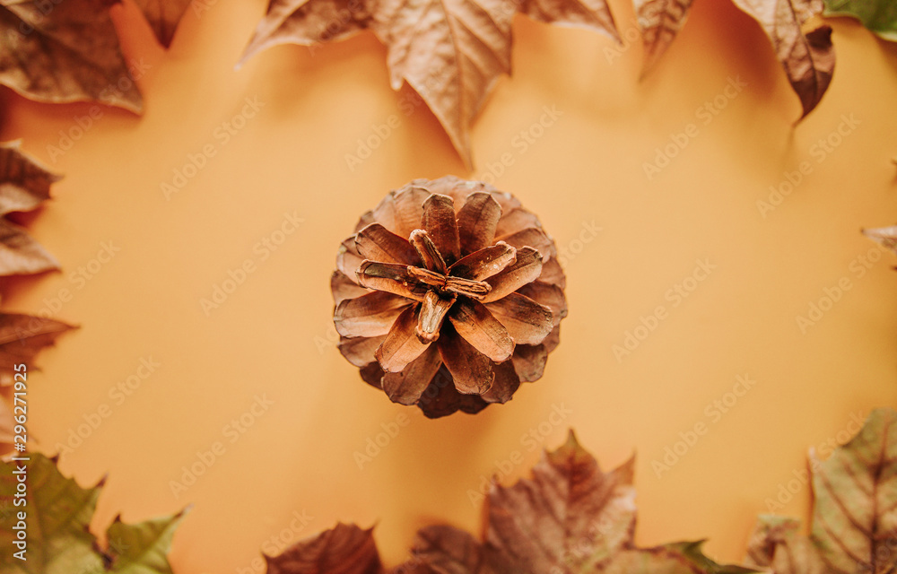 Selective focus flat lay top view Autumn template concept, colorful maple leaves and dry pine cone on isolated brown background shape