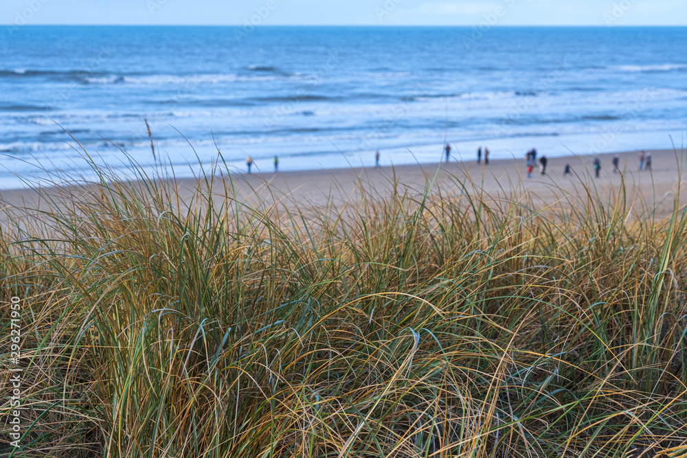 Blick über die Dünen von Egmond aan Zee/NL auf den Nordseestrand Blick über die Dünen von Egmond aan Zee/NL auf den Nordseestrand