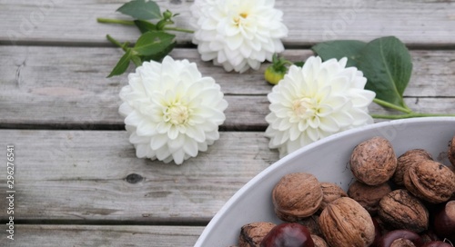 Autumn concept with white dahlia flowers on weathered wooden boards  in bright daylight. And a collection of walnuts and chestnuts in a bowl. 