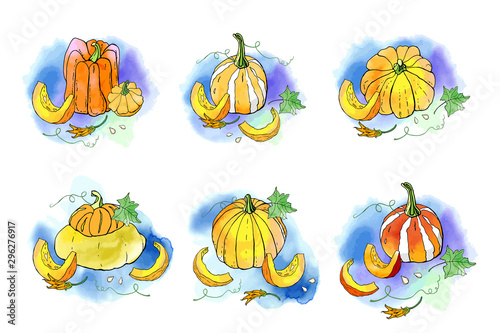 Collection of autumn pumpkin compositions with watercolor texture. Fall harvest. Vector set. Cute icons for postcards, greetings, cards, logo. Food background. Hand drawn. Halloween, thanksgiving.