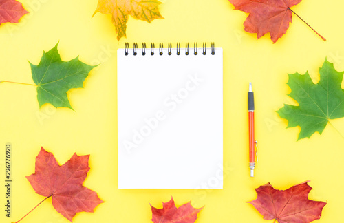 Open notebook and autumn maple leaves.