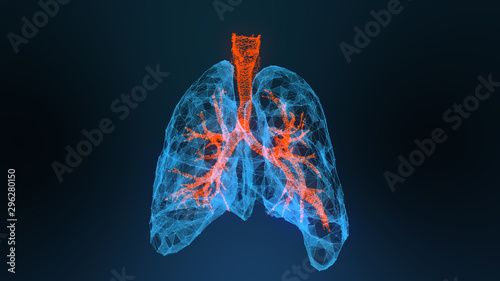 Obraz na płótnie 3d rendered illustration of lung cancer 3D illustration