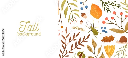 Autumn forest flora and fauna flat vector illustration. Decorative fall themed background botanical concept. Seasonal nature banner design with typography. Tree leaves, branches and insects.