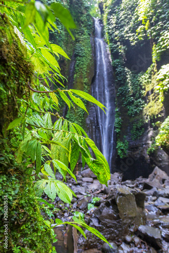 Sekumpul Waterfalls surrounded by tropical forest in Bali  Indonesia.