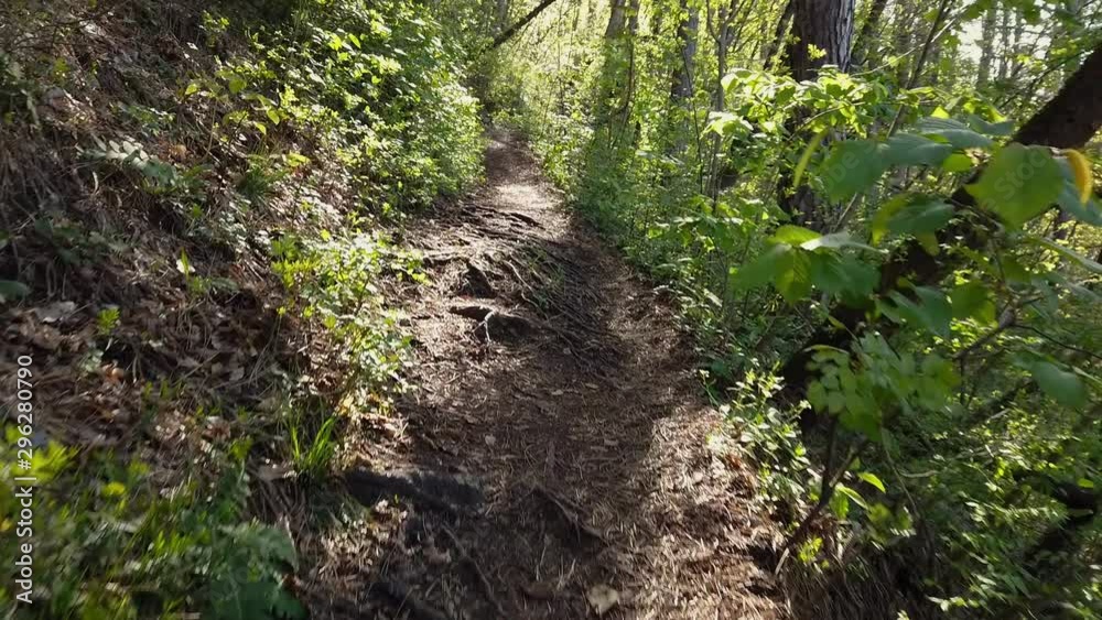 Walking through forest on beautiful hiking path to the top of the hill. Filming first person view while walking in hills in slow motion. Walking through forest on beautiful hiking path to the top of the hill. Filming first person view while walking in hills in slow motion.