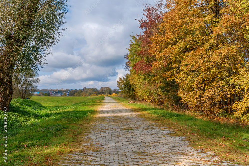 Autumn rural road landscape. Autumn forest road landscape. Autumn road through the field.