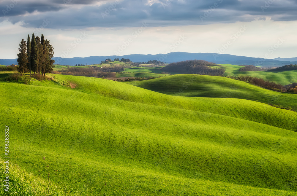 Spring fields in Tuscany / Amazing Tuscany landscape with green rolling hills in spring sunny morning