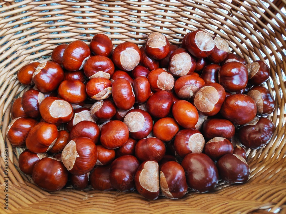 Obraz premium Kastanienkorb