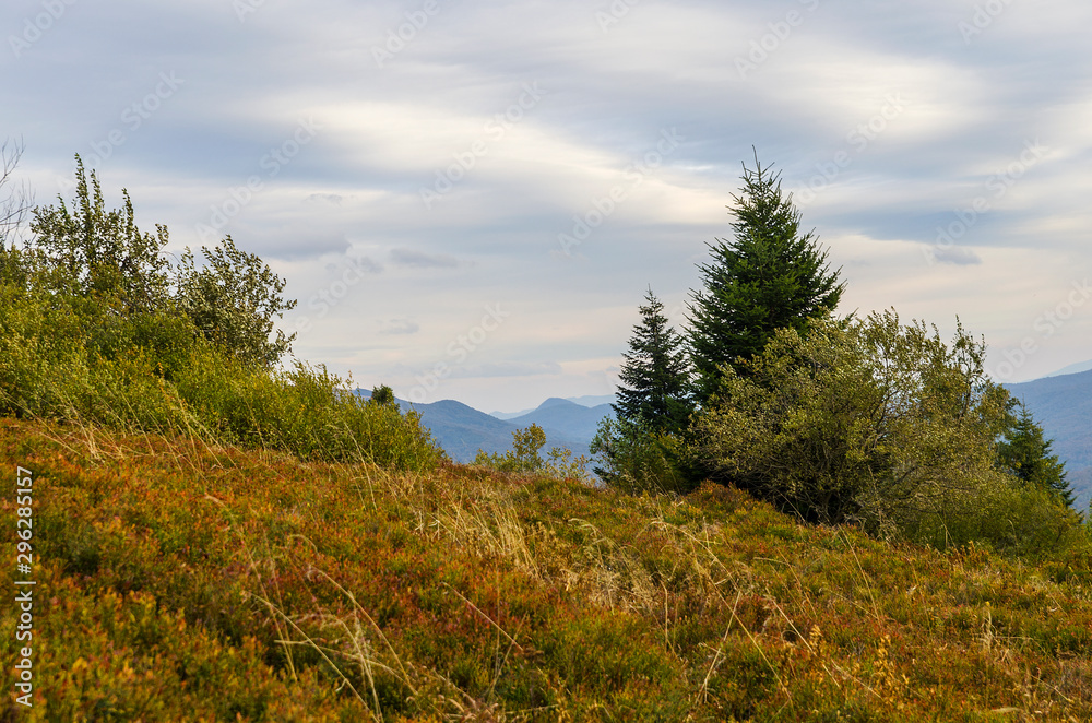 Bieszczady panorama z połoniny Caryńskiej Bieszczady panorama z połoniny Caryńskiej