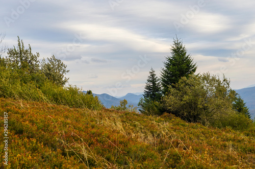 Fototapeta Naklejka Na Ścianę i Meble -  Bieszczady panorama z połoniny Caryńskiej