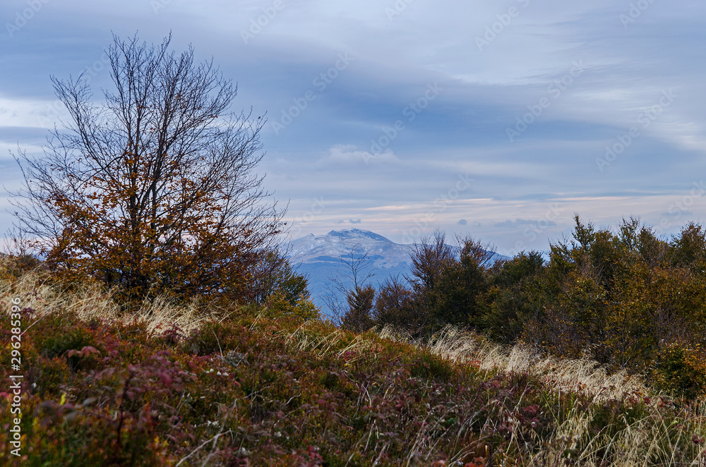 Bieszczady panorama z połoniny caryńskiej 