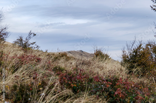 Fototapeta Naklejka Na Ścianę i Meble -  Bieszczady panorama z połoniny caryńskiej 