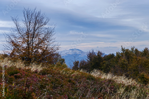 Fototapeta Naklejka Na Ścianę i Meble -  Bieszczady panorama z połoniny caryńskiej 