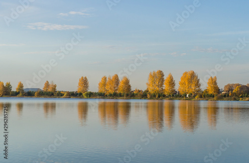 Beautiful blue lake with clear sky. Autumn yellow forest in the distance on the horizon. © Payllik