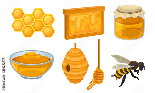 Honey Icon Set. Realistic Glossy Vector Collection