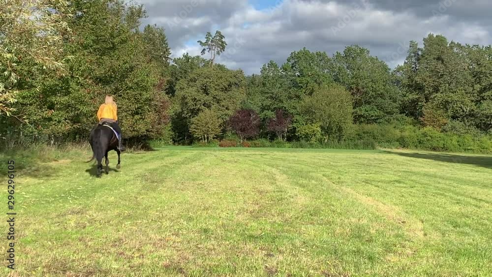 The blonde rides a horse on a green field. A harness, a horse's face, a mane. The blonde rides a horse on a green field. A harness, a horse's face, a mane.
