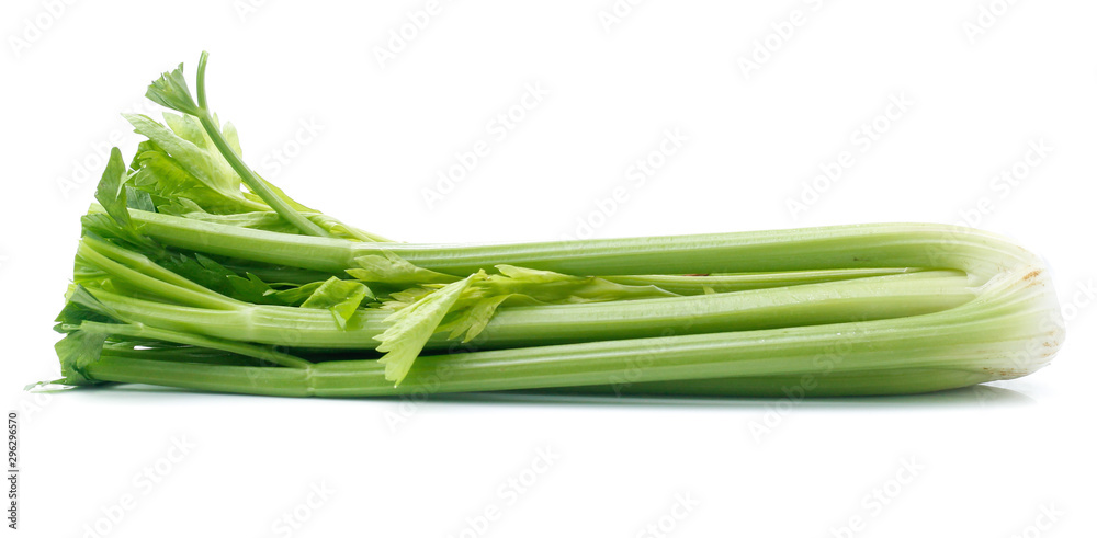 fresh celery isolated on white background fresh celery isolated on white background