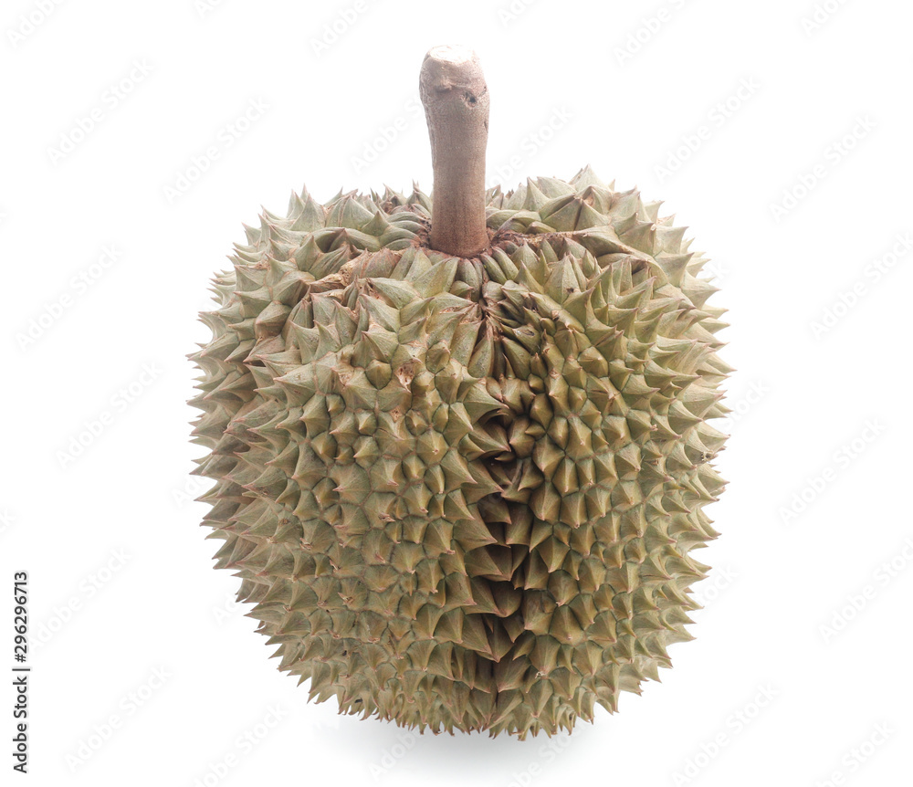 yellow durian in side Mon Thong durian fruit on white background Stock ...