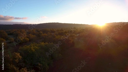 Aerial. Amazing sunrise over the meadows and gardens of the Algarve in Portugal. photo