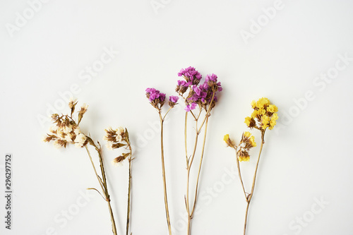 Fototapeta Naklejka Na Ścianę i Meble -  Dried wild flowers on white table background top view.