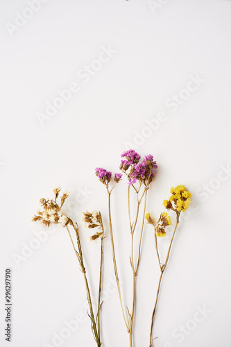 Fototapeta Naklejka Na Ścianę i Meble -  Dried wild flowers on white table background top view.