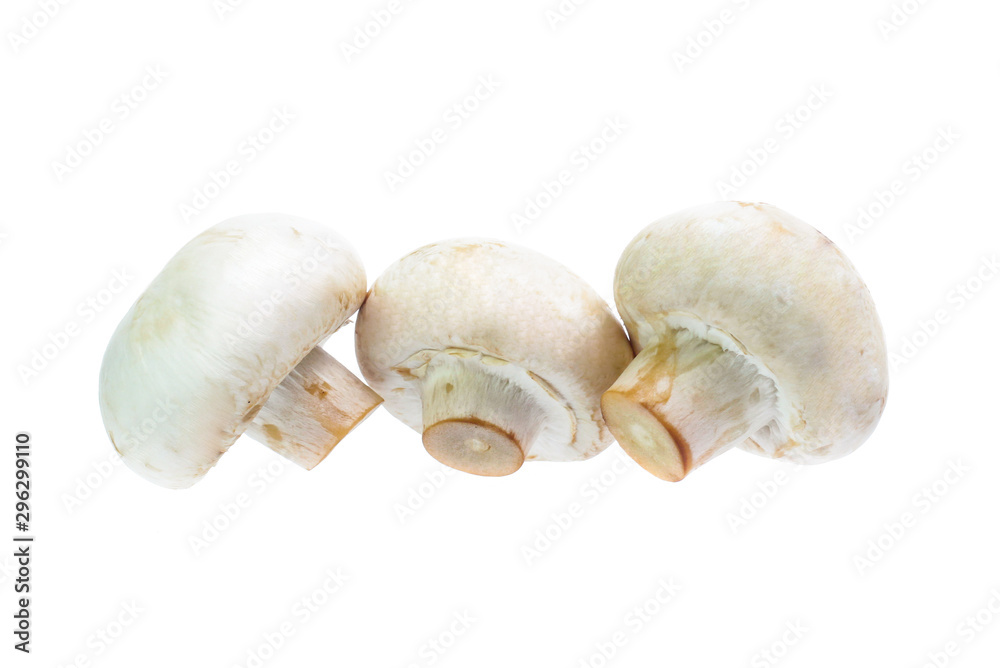 Fototapeta premium Mushroom champignon isolated on white background