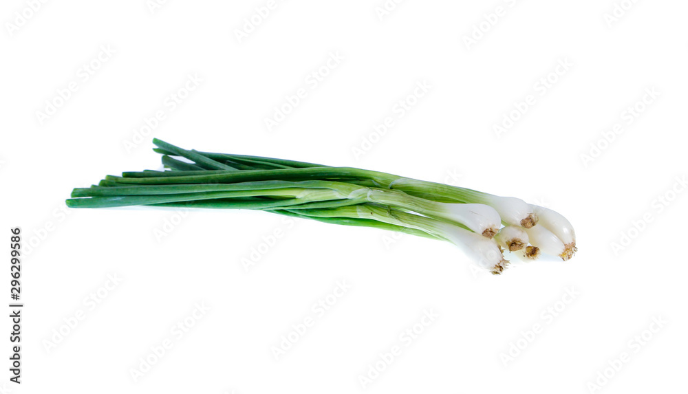 Fototapeta premium fresh onion tree