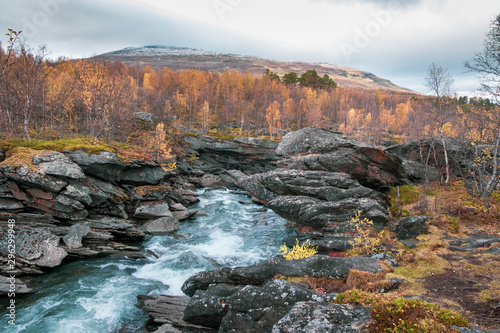 blue river flowing in the canyon of Abisko National Park in polar Sweden in golden autumn against the backdrop of the mountains