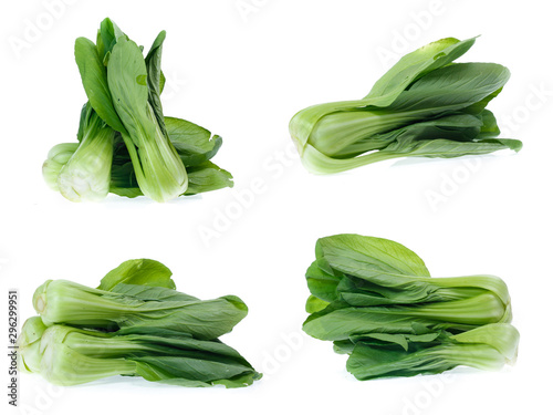 set of fresh chinese cabbage on a white background