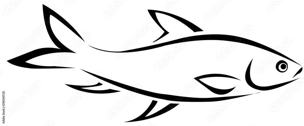 The fish The fish