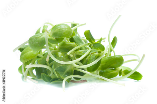 Sunflower sprouts isolated on white background