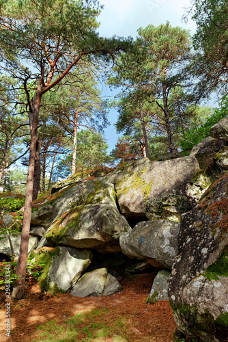 Denecourt hiking path 11 in the french Gatinais regional nature park