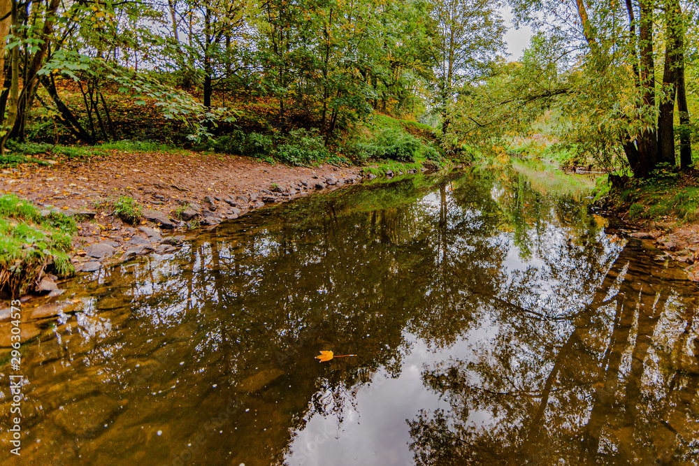 Quiet river with reflection in the water in the forest with abundant vegetation and trees, day at the beginning of the autumn in Schinnen (Beekdal Route), Netherlands Holland Quiet river with reflection in the water in the forest with abundant vegetation and trees, day at the beginning of the autumn in Schinnen (Beekdal Route), Netherlands Holland