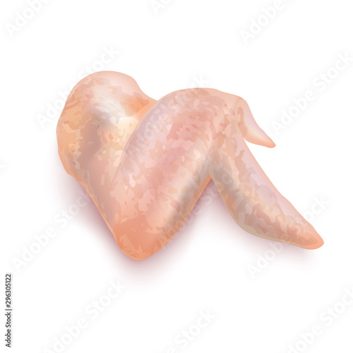 Isolated Chicken Wing on White Background in Realistic Style