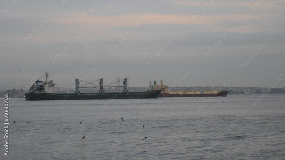 Container ships in the harbor entrance