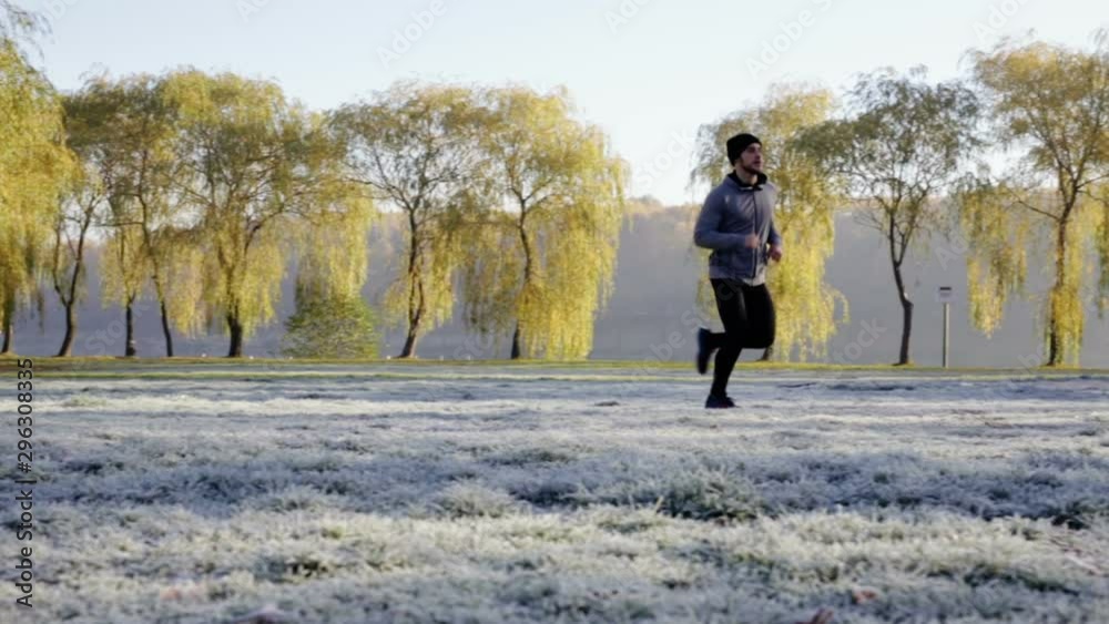Running at park during autumn. Running at park during autumn.