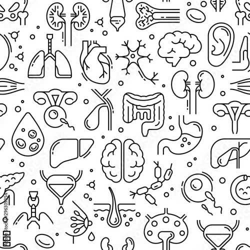 Seamless vector pattern on a medical theme consisting of linear icons of internal human organs.