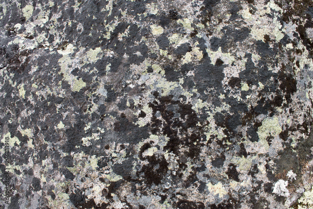 texture of stone texture of stone