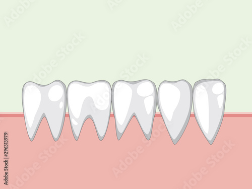 Vector white healthy teeth in the gum