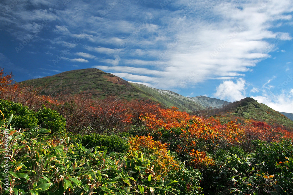 紅葉した秋の山(日本・平標山)