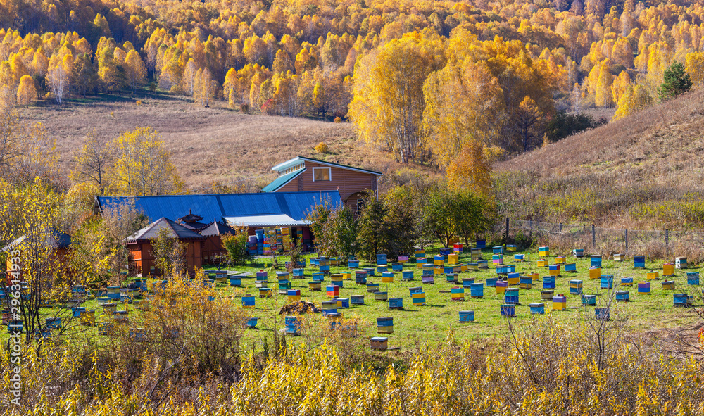 Apiary in the mountains of Altai. Pure ecology. Autumn view.