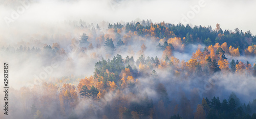 Scenic autumn view. Fog in the forest, view from above. Natural background.